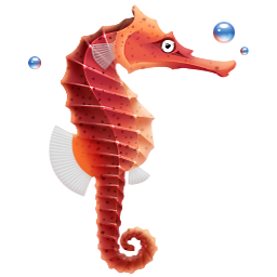 seahorse