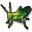 grasshopper_32