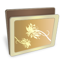 folder-icon