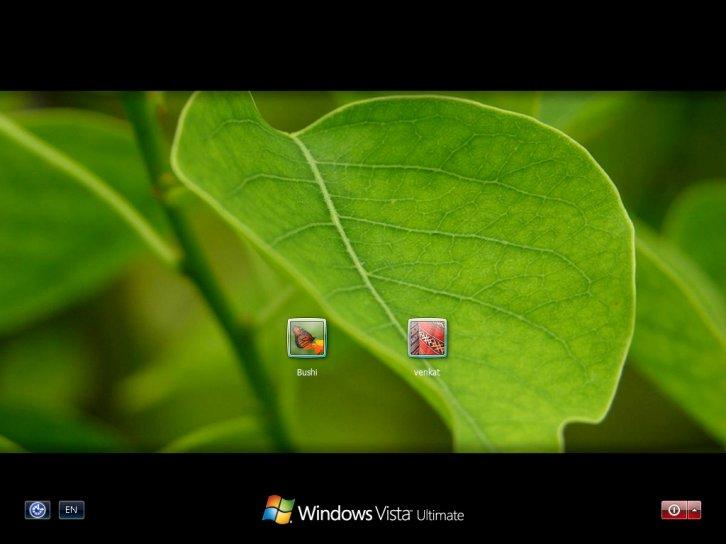 Green leaf logon screen for xp - Экран приветствия Windows XP