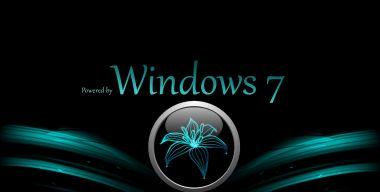 Win 7-Logon-background-Lilie