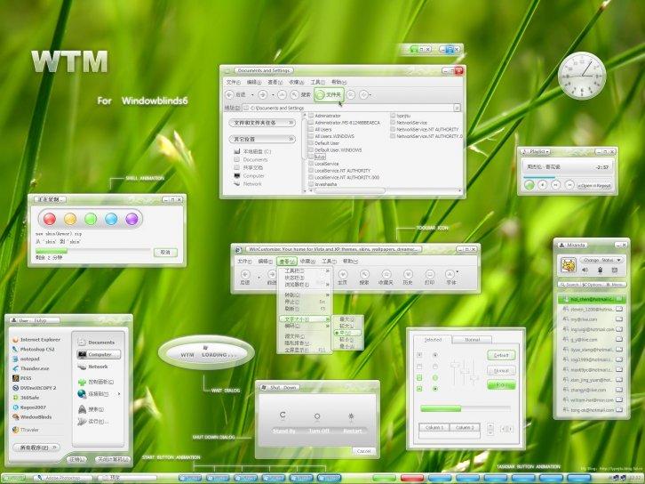 WTM - Темы WindowBlinds