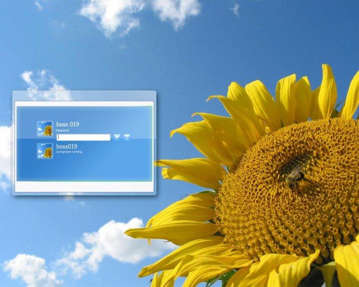 SunFlower - Экран приветствия Windows XP