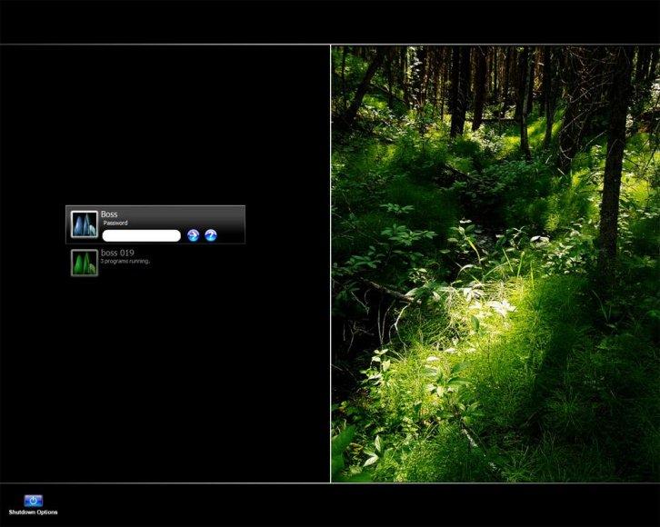 Natural - Экран приветствия Windows XP