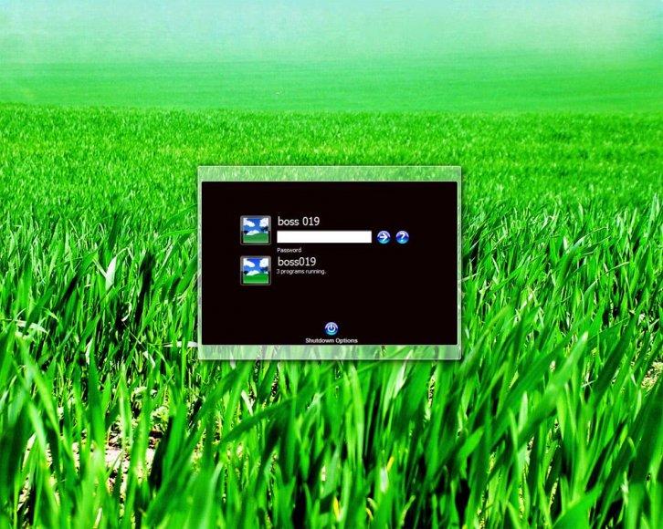 Field of Vision - Экран приветствия Windows XP