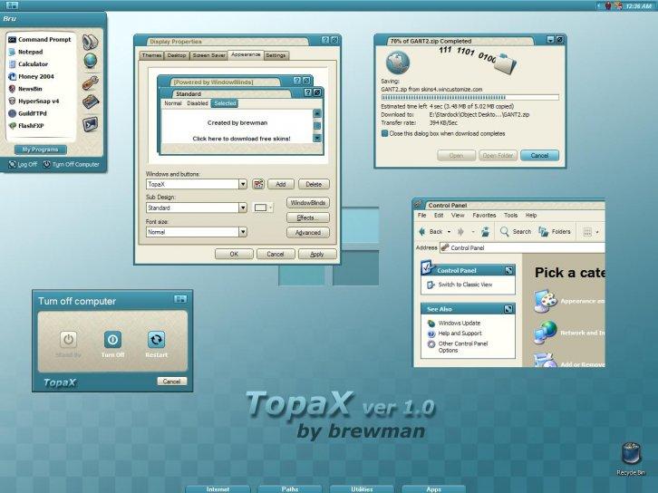 TopaX - Темы WindowBlinds