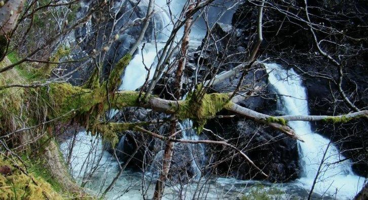 Водопад в природе - Живые обои Природа