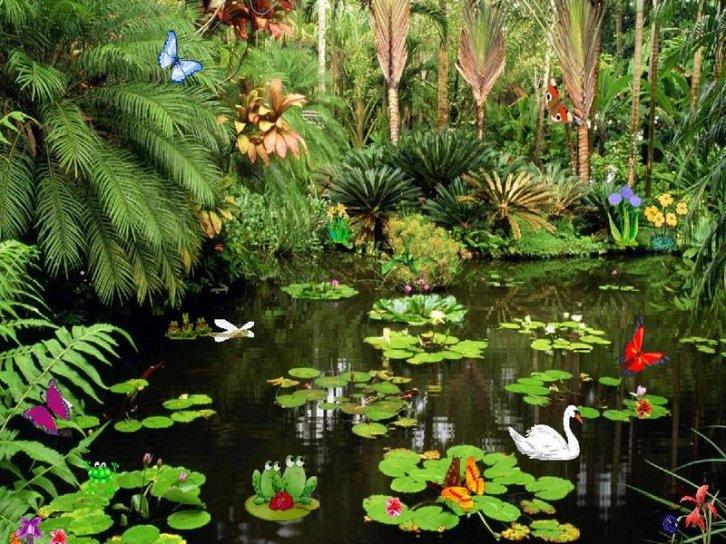 Butterflies Ponds Screensaver v.1.0 - Заставки Природа