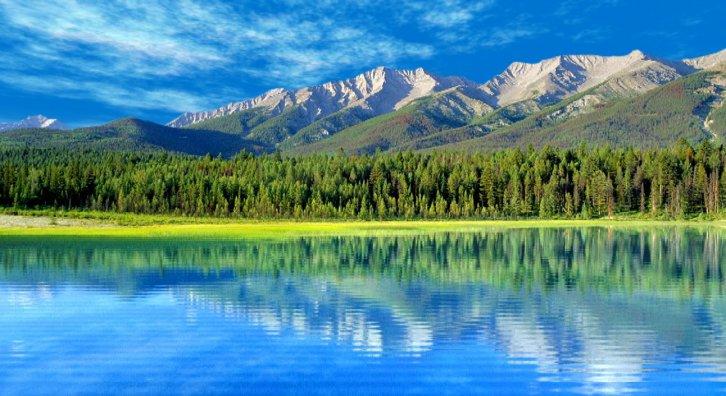 Водный рай - Живые обои Природа