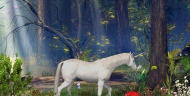 Enchanted Forest Screensaver 3.11