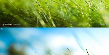 Aero Grass Logon Windows 7