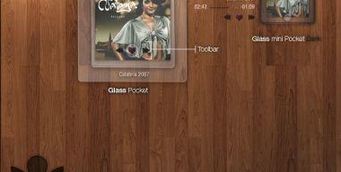 Glass pocket for CDart Display