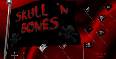 Pirate flag - skull and bones