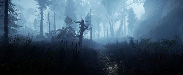 Land of Pain Forest Rain - Живые обои Природа