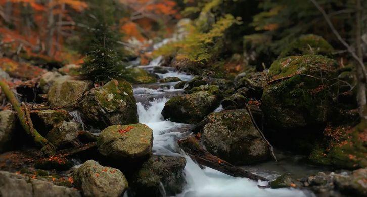 Autumn Forest Waterfall - Живые обои Природа