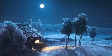 Moon lit winter night