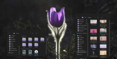 Numix Pulsatilla IconPack