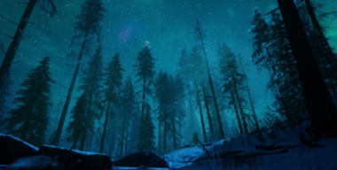 Полярный лес