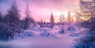 Розовая зима