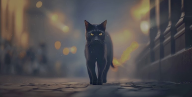 Чёрный кот на улице
